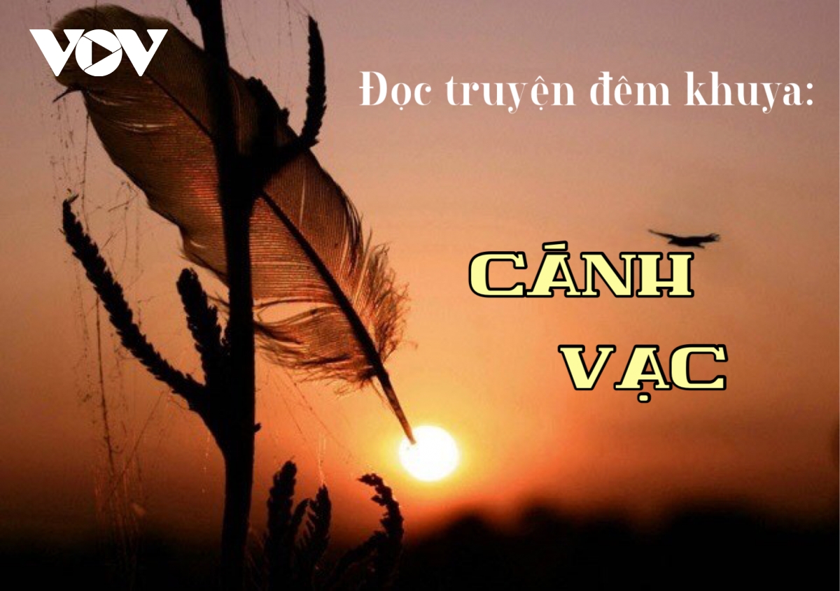 "Cánh vạc" hay nỗi đau đàn bà tự sát thương